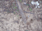 The stupid footprints they leave behind.